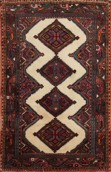 Intricate Geometric Patterns on Hand-Knotted Hamedan Persian Rug 3x4