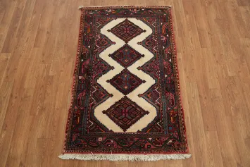 Intricate Geometric Patterns on Hand-Knotted Hamedan Persian Rug 3x4