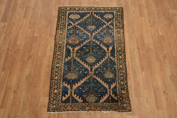 Collectible Vegetable Dye Wool Hamedan Persian Rug 2x4