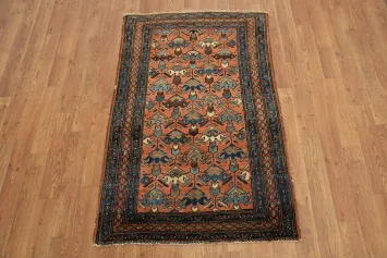 Decorative Vegetable Dye Geometric Persian Malayer Rug 3x4