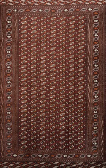 Over Size Wool Bokhara Oriental Large Rug 10x16