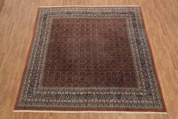 Square Wool Bidjar Persian Area Rug 10x10