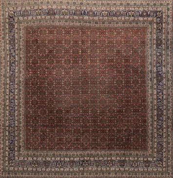 Square Wool Bidjar Persian Area Rug 10x10