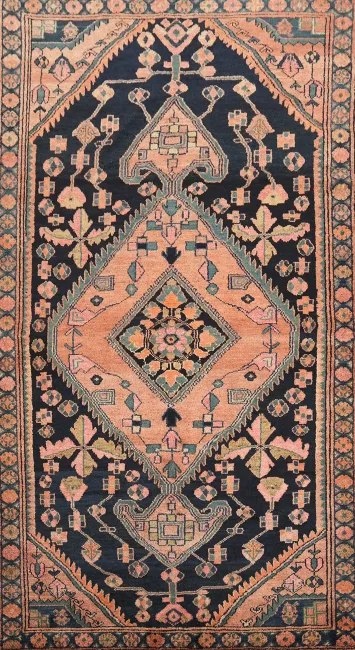 Blue Wool Hamedan Persian Area Rug 5x9