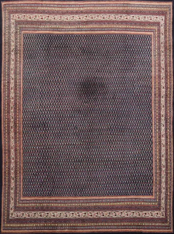 Vintage Traditional Botemir Persian Large Rug 11x14