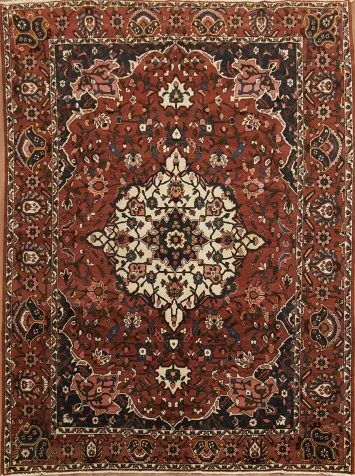 Geometric Wool Bakhtiari Persian Area Rug 9x12