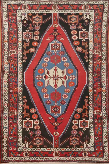 Hamedan Persian Rug 5x7