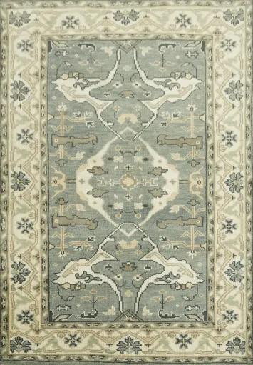 Vintage Inspired Patterned Rug 4x6