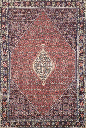 Bidjar Persian Wool Area Rug 7x11
