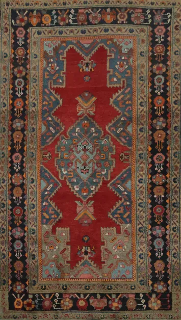 Hamedan Persian Wool Rug 4x7