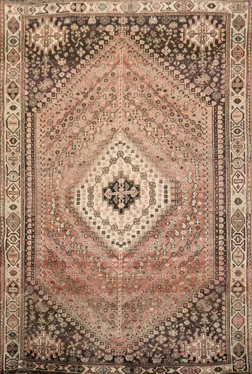 Shiraz Persian Tribal Wool Area Rug 6x9