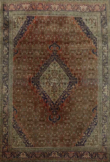 Bidjar Persian Area Wool Rug 8x11