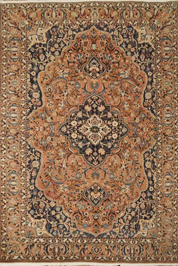 Bakhtiari Persian Wool Area Rug 7x10