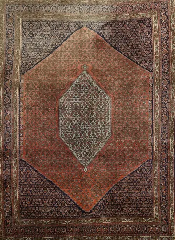 Wool Bidjar Persian Area Rug 9x12