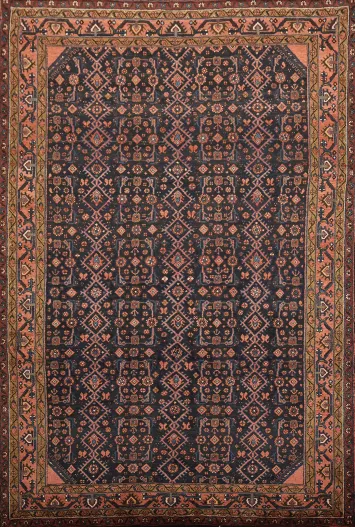 Malayer Persian Tribal Wool Area Rug 7x11