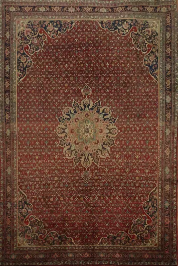 Bidjar Persian Wool Area Rug 7x11