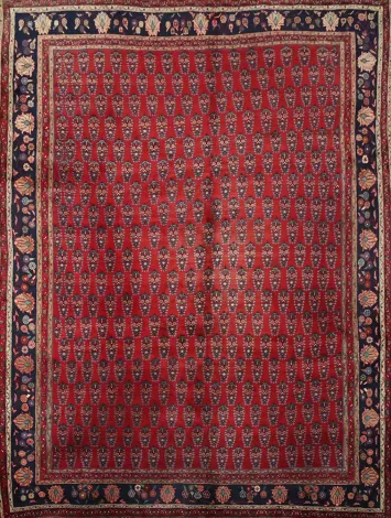 Bidjar Persian wool Area Rug 9x11