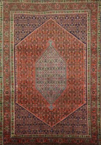 Bidjar Persian Wool Area Rug 7x11