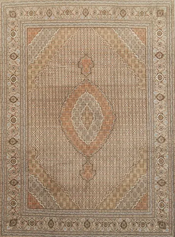 Tabriz Persian Wool Area Rug 8x11