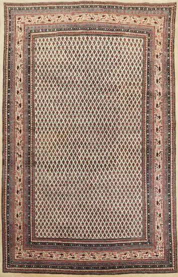All Over Botemir Persian Area Rug 6x10