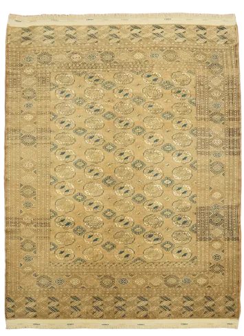 Top Quality Wool Bokhara Oriental Area Rug 7x9