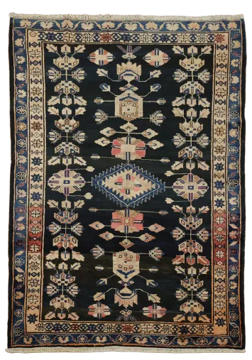 Blue Lori Persian Wool Area Rug 7x10
