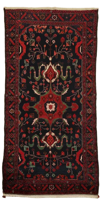 Zanjan Persian Tribal Wool Rug 5x10
