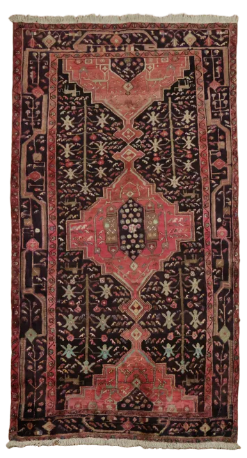 Zanjan Persian Tribal Wool Rug 5'x9'