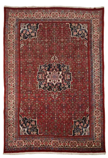 Wool Bidjar Persian Area Rug 8x12
