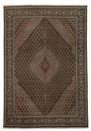 Fine Wool Tabriz Persian Area Rug 8x12