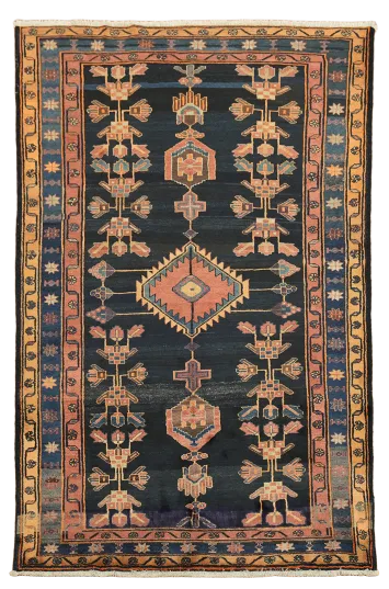 Tribal Lori Persian Wool Area Rug 7x10
