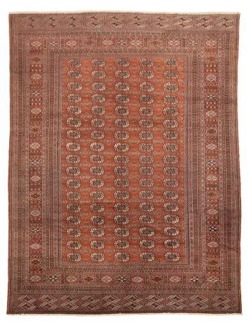 Bokhara Oriental Wool Area Rug 9x12