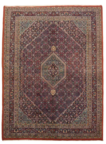 Bidjar Oriental Wool Area Rug 6x8