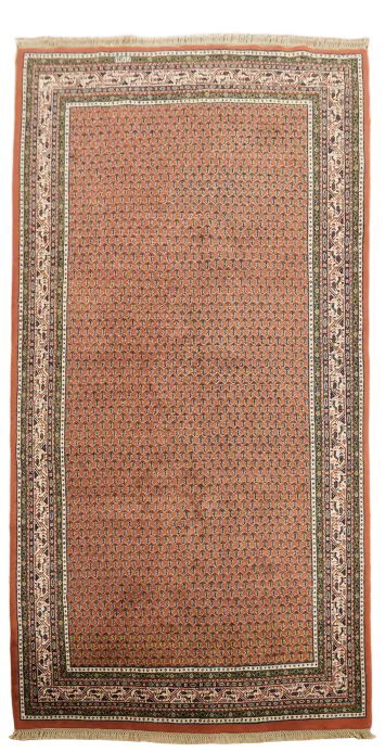 Botemir Oriental Wool Area Rug 5x10