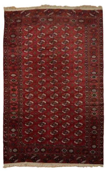 Bokhara Oriental Area Wool Rug 7x11