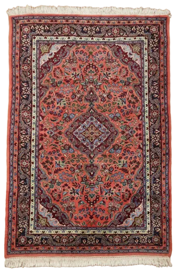 Hand-Knotted Hamedan Persian Rug 4'x7'
