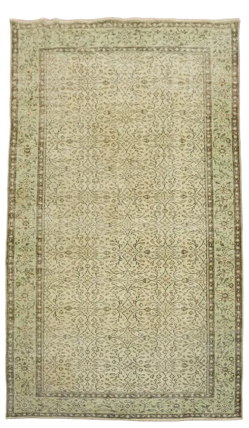 Distressed Wool Anatolian Oriental Area Rug 5x9
