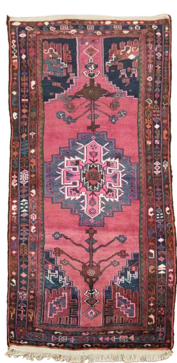 Hamedan Persian Runner Wool Rug 4x9
