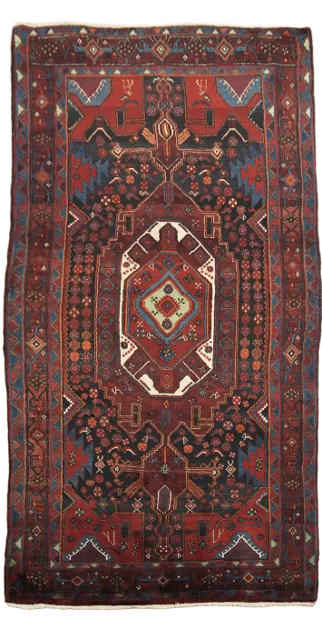 Zanjan Persian Runner Wool Rug 4x9