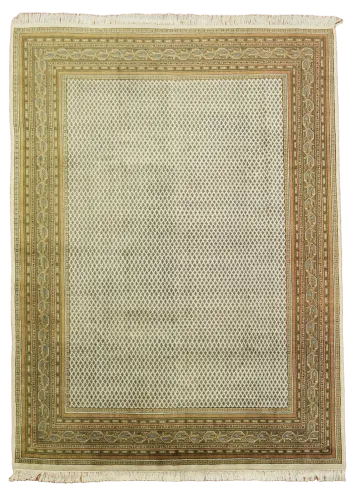 Botemir Oriental Wool Area Rug 8x11