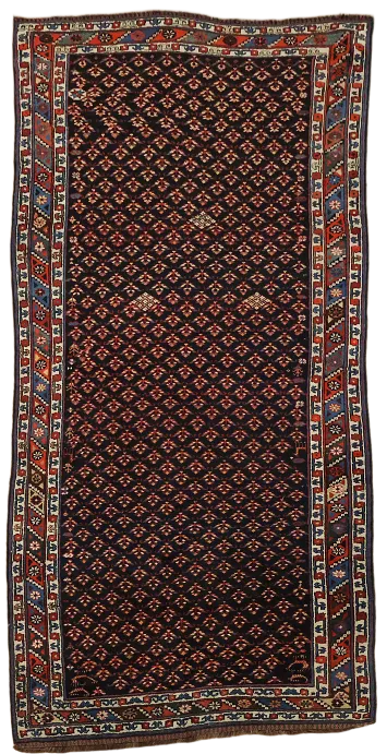 Bakhtiari Persian Wool Vintage Area Rug 5x9