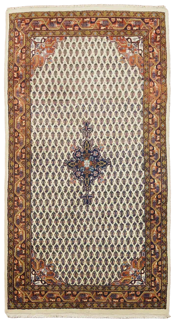 Botemir Persian Wool Rug 3x5