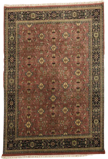 Agra Oriental Wool Area Rug 8x10