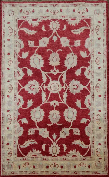 4x6 Peshawar Pakistan Oriental Area Rug