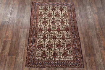 5x7 Afshar Kerman Persian Area Rug