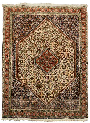 Geometric Bidjar Persian Area Rug 4x5