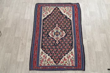 Geometric Senneh Persian Area Rug 3x5