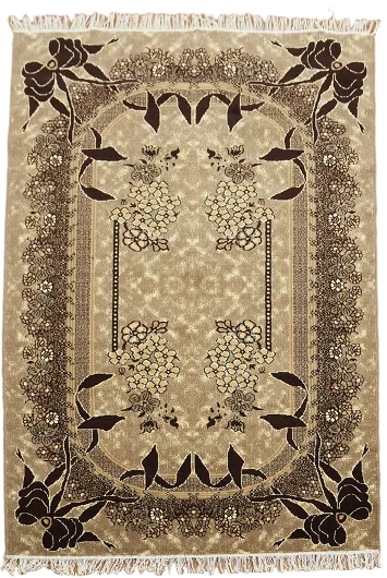 Brown Modern Turkish Accent Rug 5x7