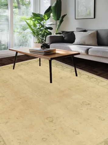 Refined Beige Rug Design Featuring Subtle Green Border Patterns 8x11