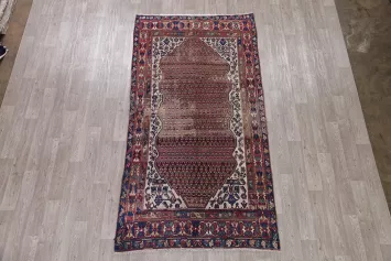 Pre-1900 Vegetable Dye Malayer Persian Wool Rug 5x9